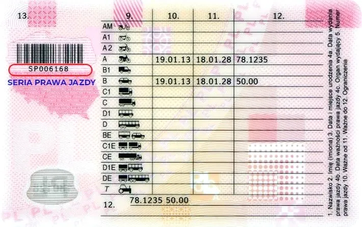 Jak długo trzeba uczyć się teorii na prawo jazdy? Sprawdź nasze wskazówki!