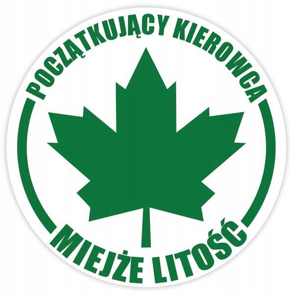 Jak jeździć po zdaniu egzaminu na prawo jazdy? Zasady dla początkujących kierowców