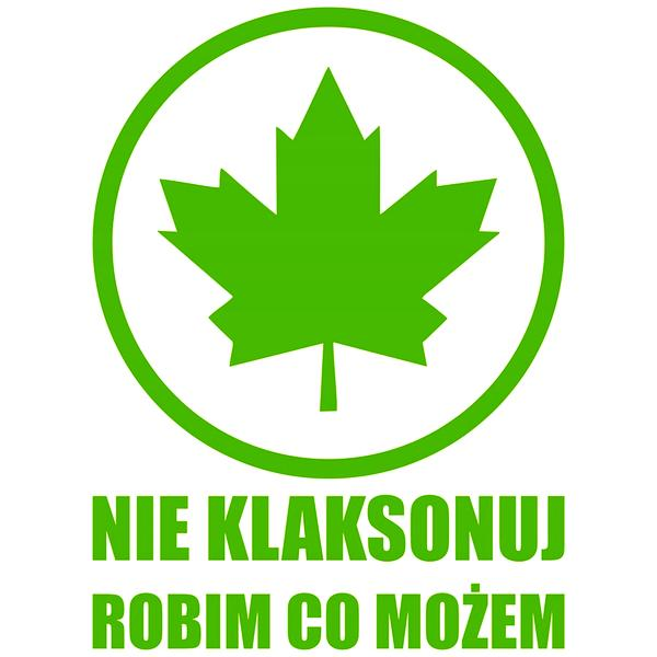 Prawo jazdy dla początkujących