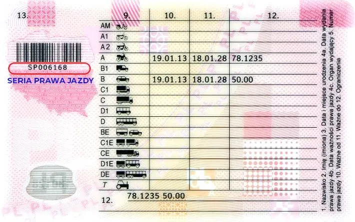 Punkty w egzaminie teoretycznym