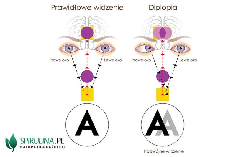 Regulacje prawne prawo jazdy