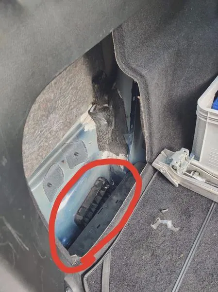 Usunięcie wilgoci z samochodu