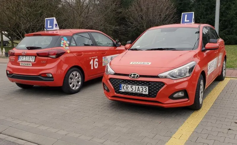 Wybór samochodu dla kierowcy